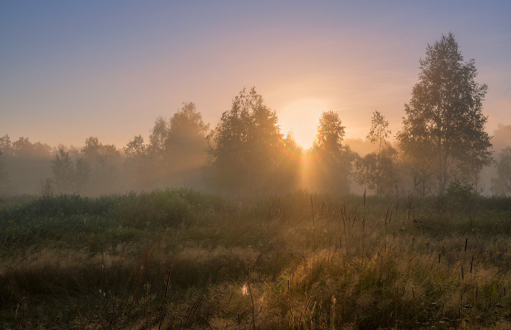 Фотографія Волшебство летнего рассвета / Галанзовская Оксана / photographers.ua