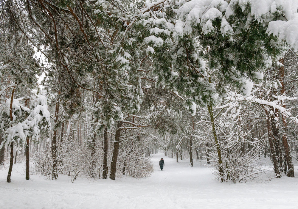 Фотографія Холодно та сніжно / Галанзовская Оксана / photographers.ua