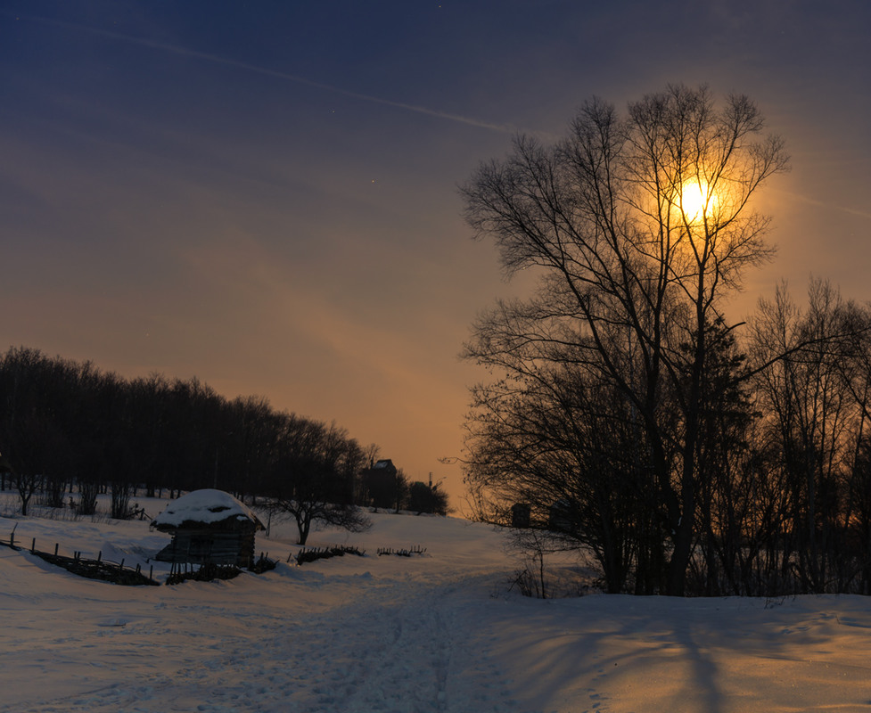 Фотографія Зимняя, ясная ночь наступила. / Галанзовская Оксана / photographers.ua