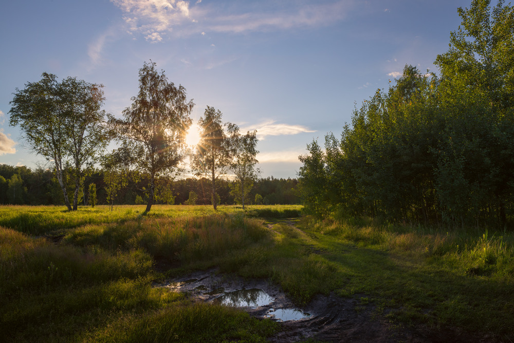 Фотографія День вечереет, солнце садится за лес / Галанзовская Оксана / photographers.ua