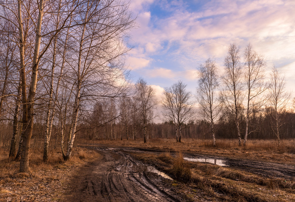 Фотографія И перистые облака плывут в необозримой сини / Галанзовская Оксана / photographers.ua