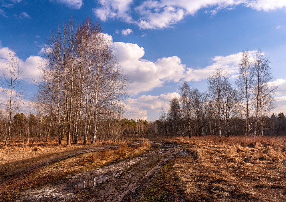 Фотографія Пахнет весной, созревшей травой и землёй / Галанзовская Оксана / photographers.ua