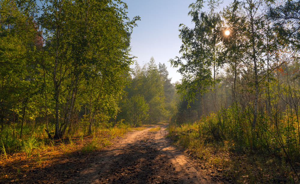 Фотографія Теплий сонячний ранок / Галанзовская Оксана / photographers.ua