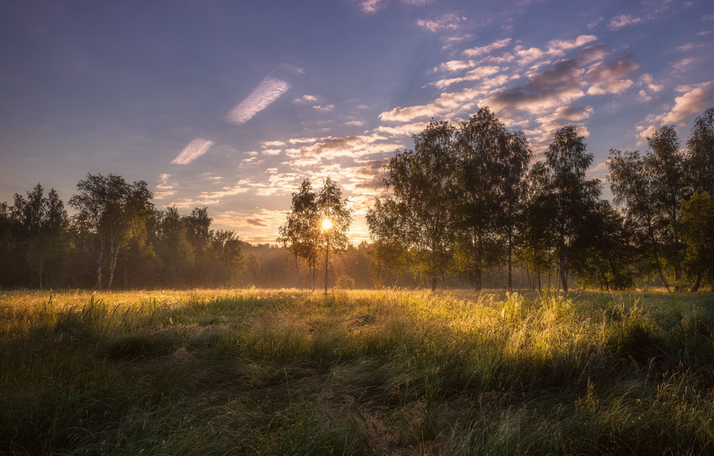 Фотографія Льёт лучи на лес и на луга / Галанзовская Оксана / photographers.ua