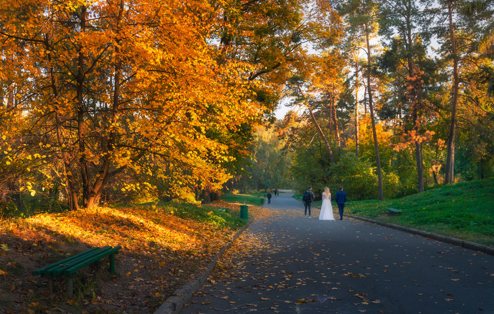 Фотографія Невеста-осень / Галанзовская Оксана / photographers.ua