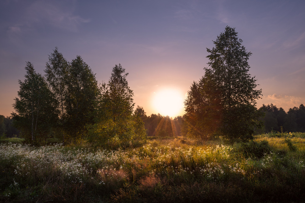 Фотографія Солнца шар вдруг поднялся над лесом и округа наполнилась светом / Галанзовская Оксана / photographers.ua