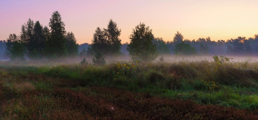 Фотографія Сиреневость туманного рассвета / Галанзовская Оксана / photographers.ua
