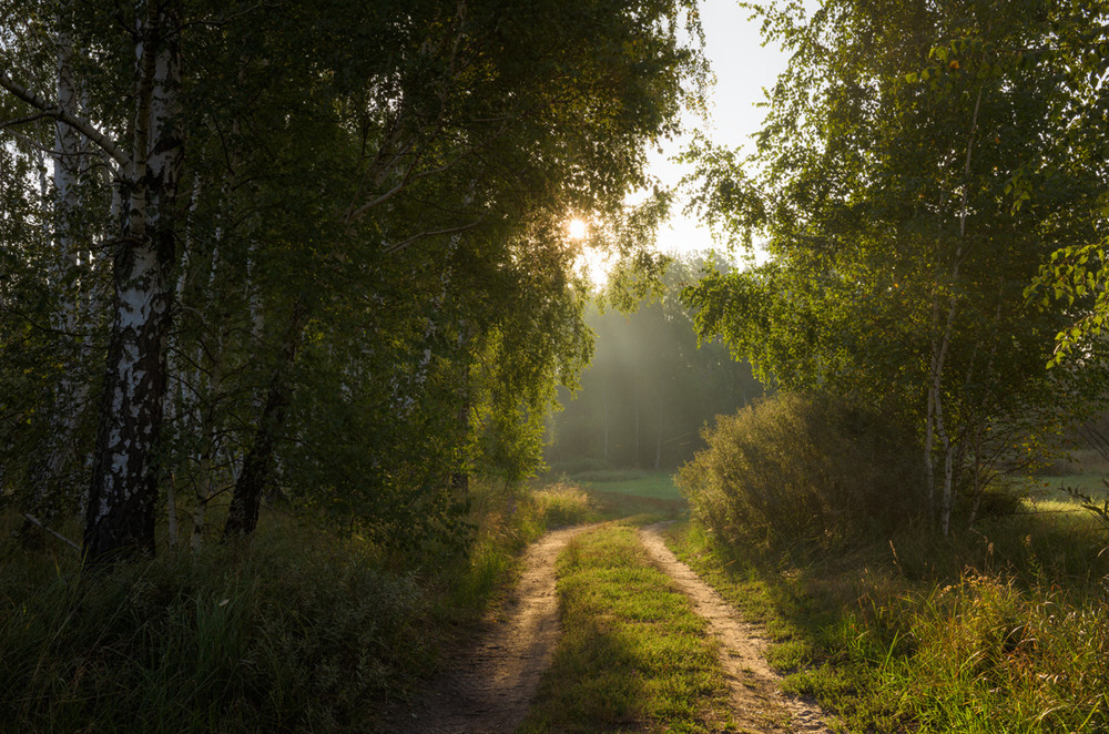 Фотографія Теплий  літній ранок / Галанзовская Оксана / photographers.ua