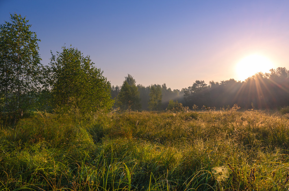 Фотографія Встало солнце из-за леса / Галанзовская Оксана / photographers.ua