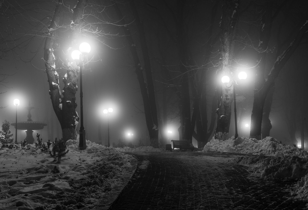 Фотографія Когда мой парк укутала зима / Галанзовская Оксана / photographers.ua
