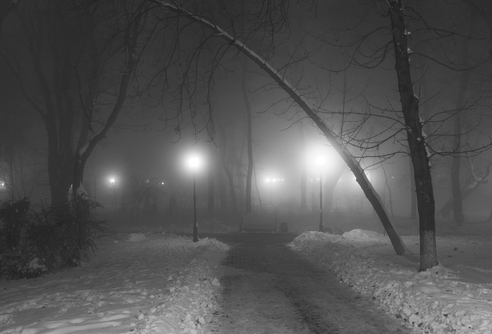 Фотографія Туманный парк в январской тишине / Галанзовская Оксана / photographers.ua