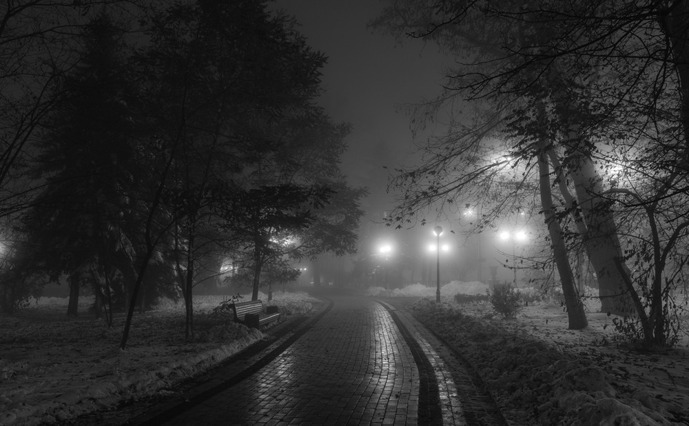 Фотографія С старом парке туман, в старом парке зима / Галанзовская Оксана / photographers.ua