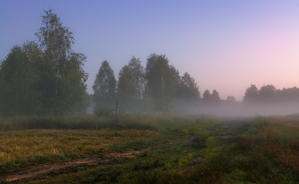 Фотографія И нежно-розовый туман над лугом плыл, благоухая / Галанзовская Оксана / photographers.ua