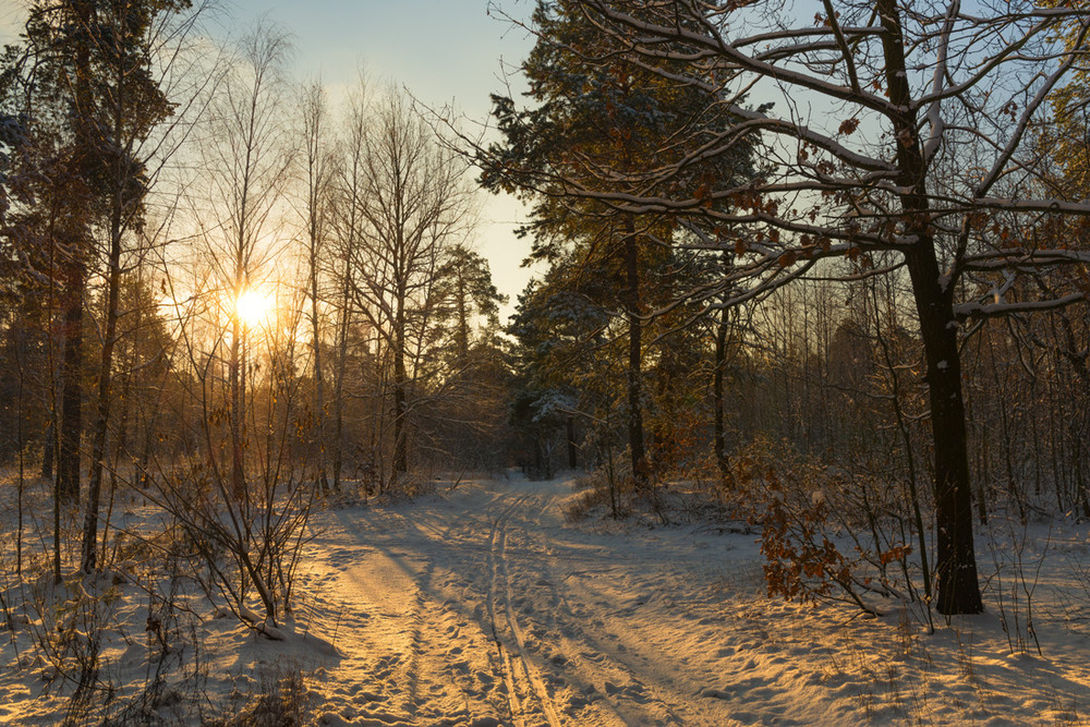 Фотографія Мороз и солнце; день чудесный! / Галанзовская Оксана / photographers.ua