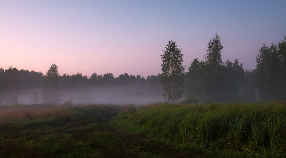 Фотографія Жемчужно-розовый рассвет луга туманами припудрил / Галанзовская Оксана / photographers.ua