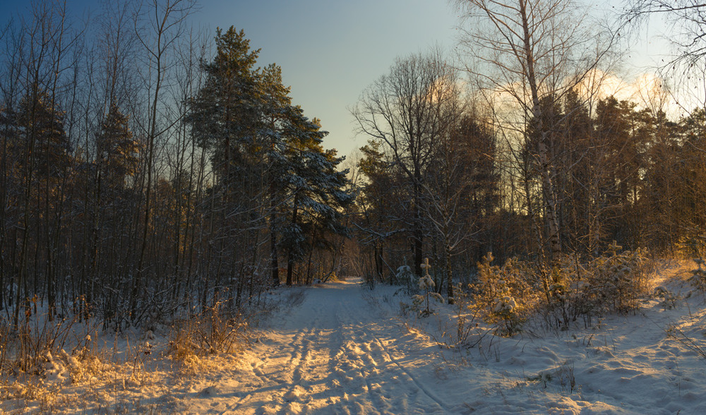 Фотографія Зимнее утро 2 / Галанзовская Оксана / photographers.ua