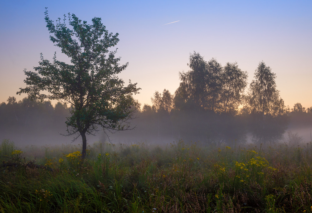 Фотографія Туман стелиться над лугом, полем, долиною... / Галанзовская Оксана / photographers.ua