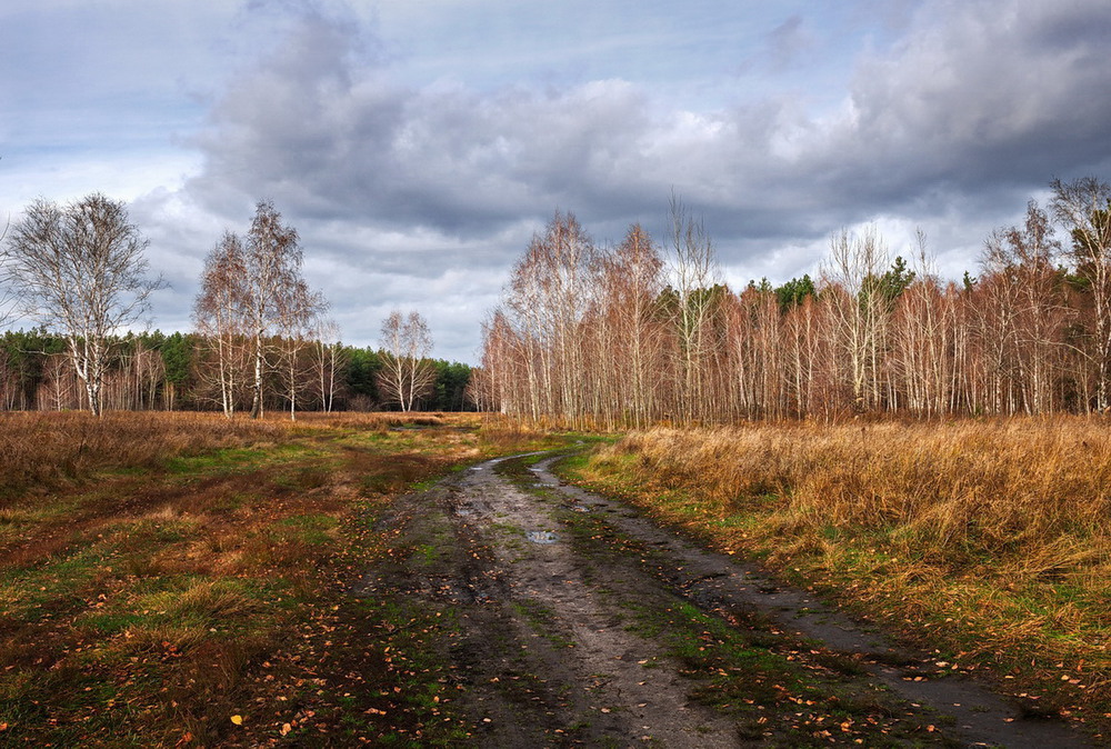 Фотографія Гонит осень тяжелые тучи / Галанзовская Оксана / photographers.ua