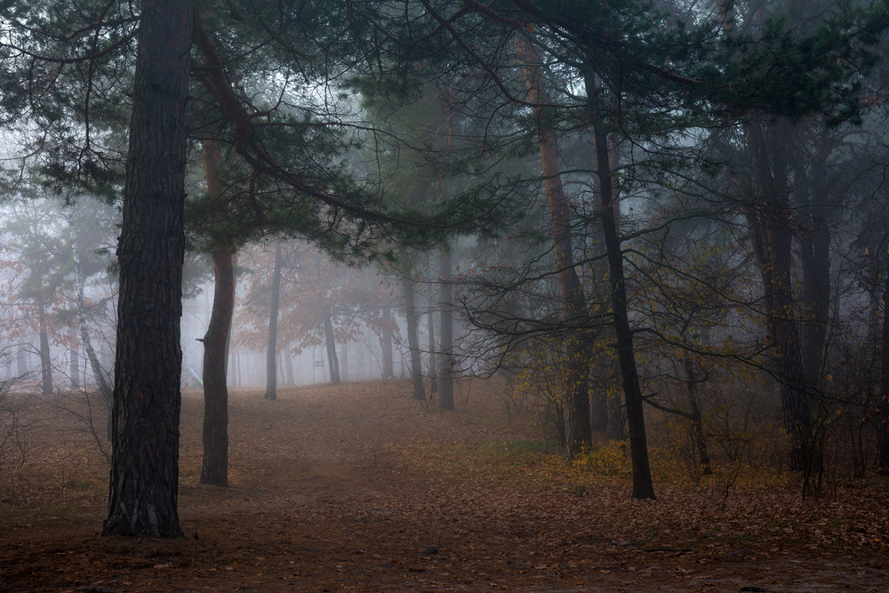 Фотографія Туман холодный обнимает, святую тишину храня / Галанзовская Оксана / photographers.ua