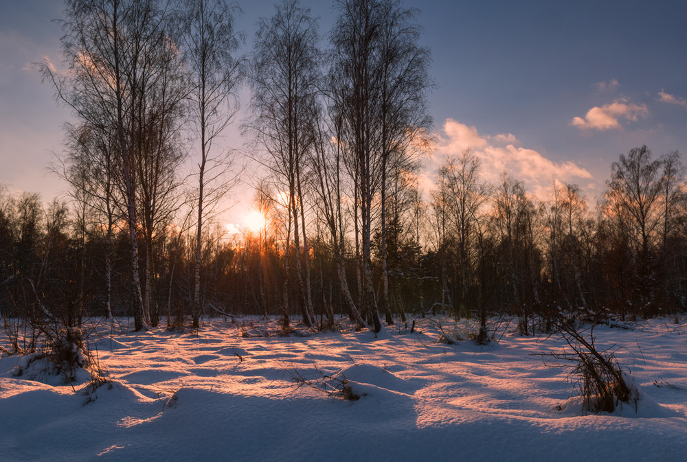 Фотографія Холодный закат января / Галанзовская Оксана / photographers.ua