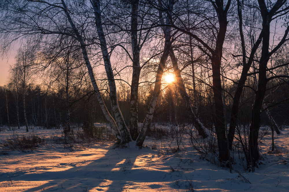 Фотографія Холодный закат / Галанзовская Оксана / photographers.ua