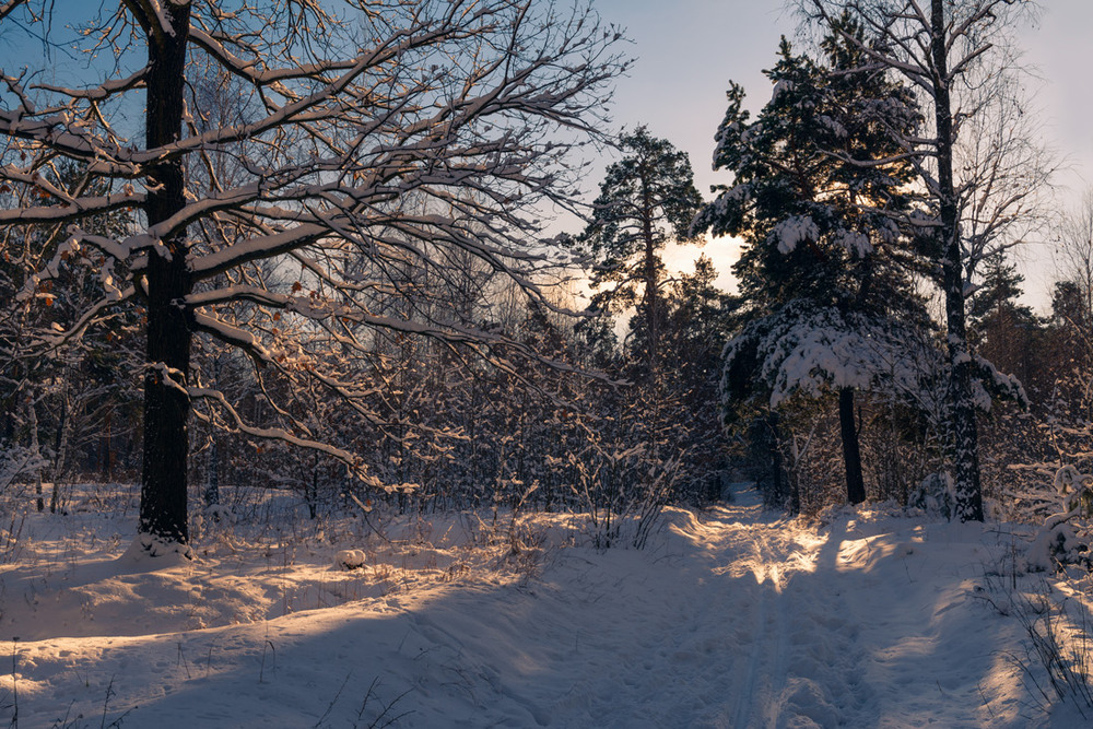 Фотографія Морозное утро / Галанзовская Оксана / photographers.ua