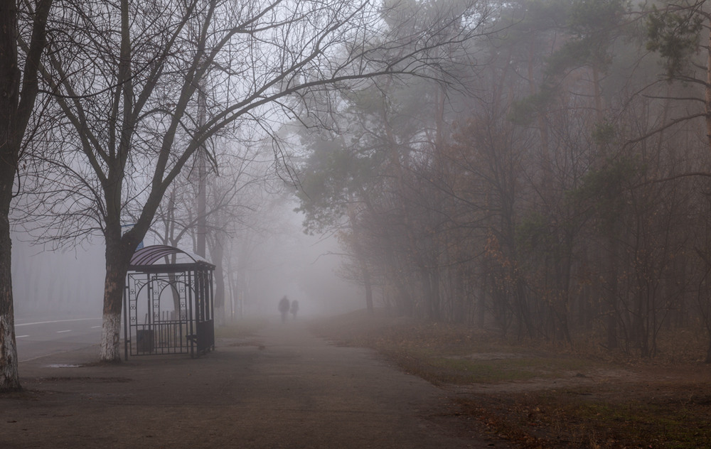 Фотографія Утопая в ноябрьском тумане / Галанзовская Оксана / photographers.ua