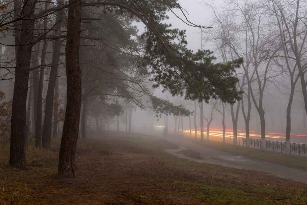 Фотографія Просыпается город в молочном тумане / Галанзовская Оксана / photographers.ua