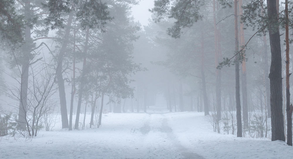 Фотографія Белой мглою небо кроет / Галанзовская Оксана / photographers.ua