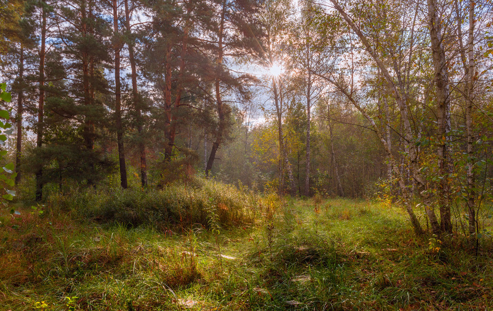 Фотографія И позабыв себя, соединиться, вот с этим небом, лесом и травой / Галанзовская Оксана / photographers.ua