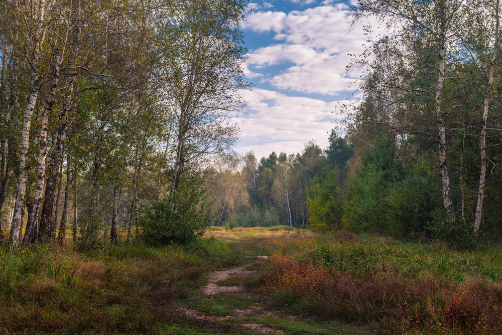 Фотографія Яркими красками осень раскрасила долы / Галанзовская Оксана / photographers.ua