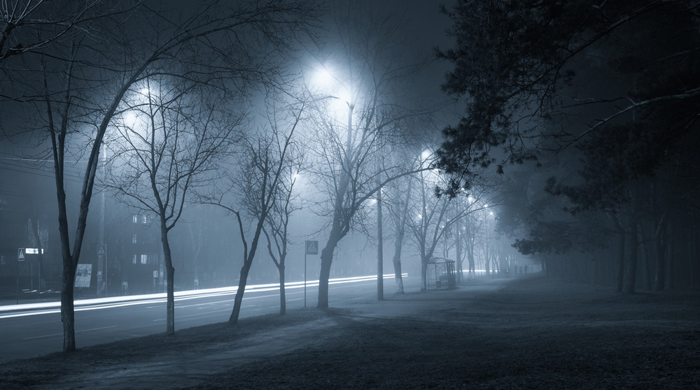 Фотографія И город окутан туманом ночным / Галанзовская Оксана / photographers.ua