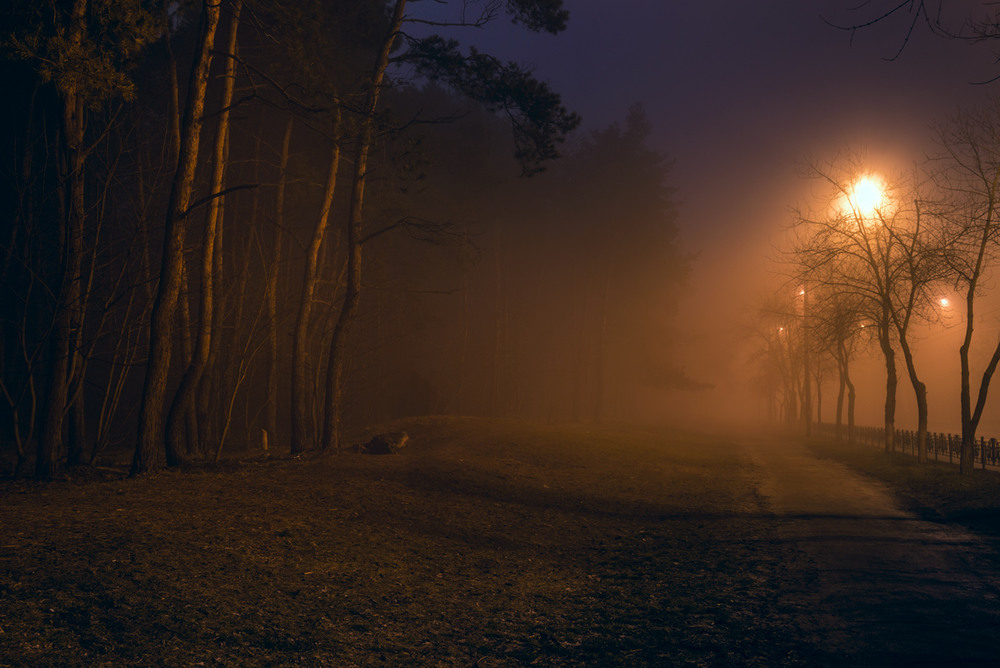 Фотографія Туман окутал сонный город, укрывши пледом старый лес / Галанзовская Оксана / photographers.ua