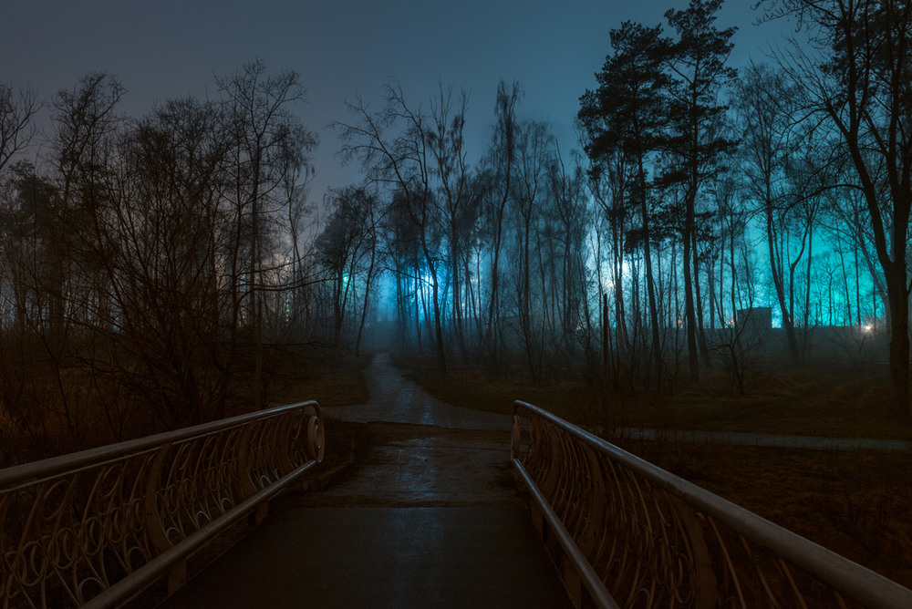 Фотографія Парк молчаливо спит, окутанный туманом / Галанзовская Оксана / photographers.ua