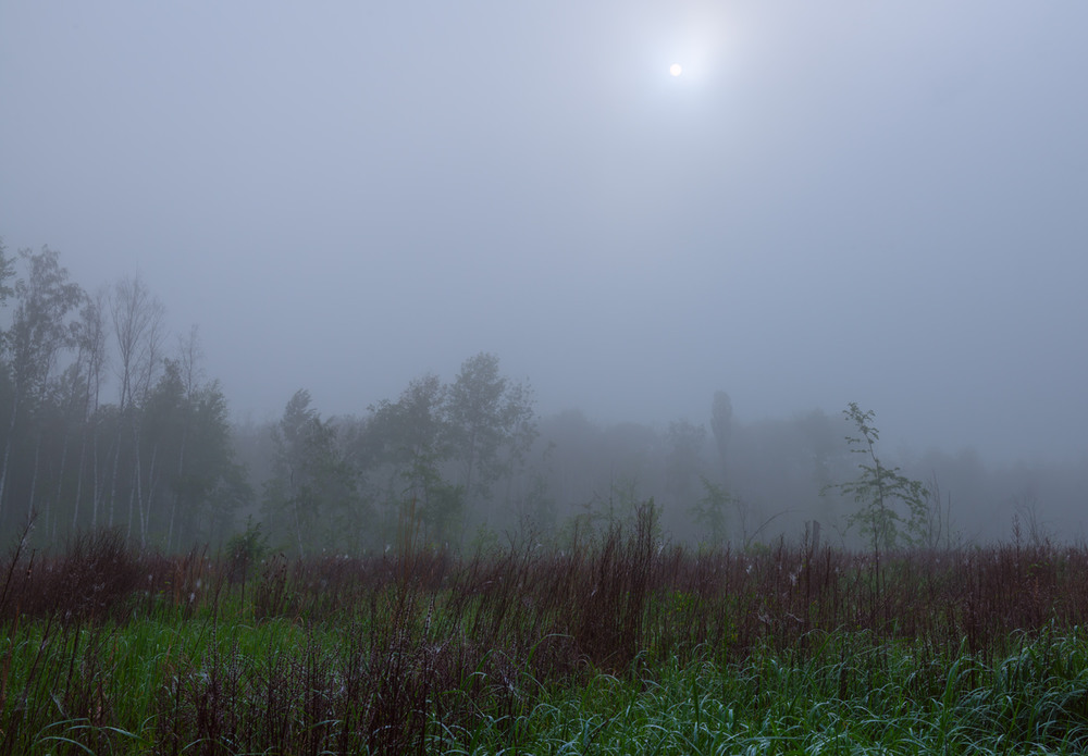 Фотографія Где-то там вдалеке, где холодный туман / Галанзовская Оксана / photographers.ua