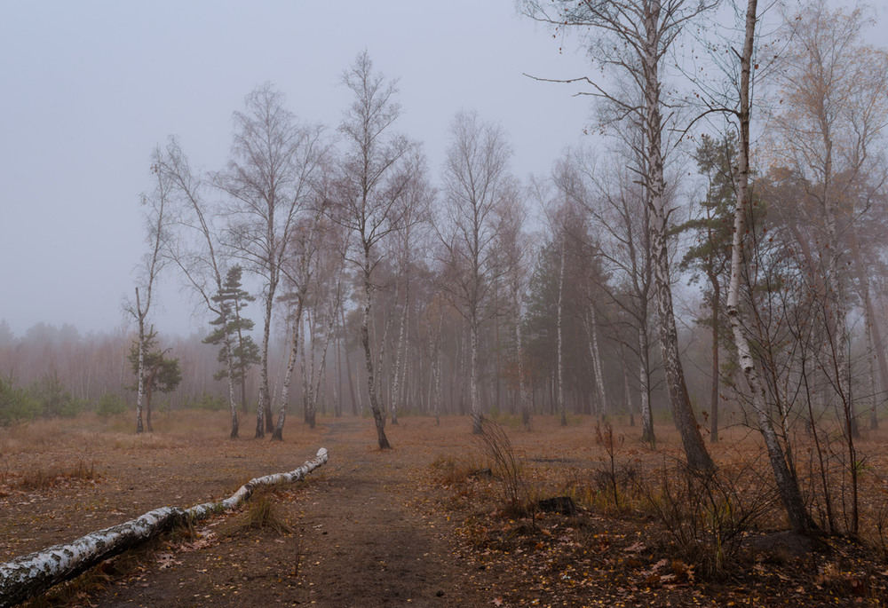 Фотографія Пришло уж время с осенью прощаться / Галанзовская Оксана / photographers.ua