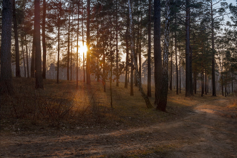 Фотографія Солнце клонилось к закату / Галанзовская Оксана / photographers.ua