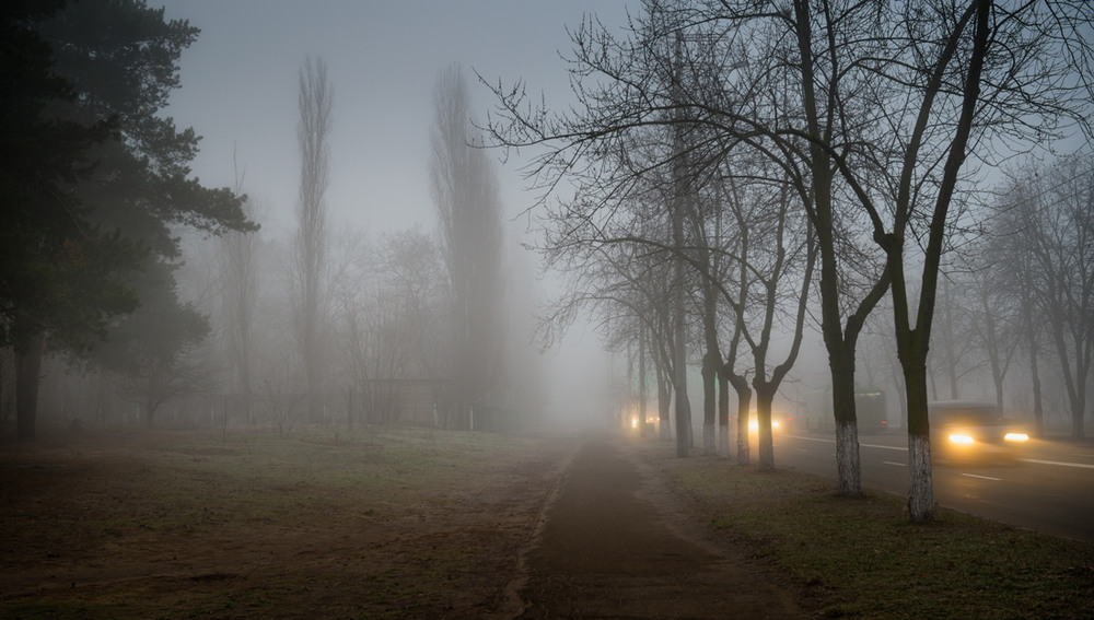Фотографія Седой туман сошел на город / Галанзовская Оксана / photographers.ua