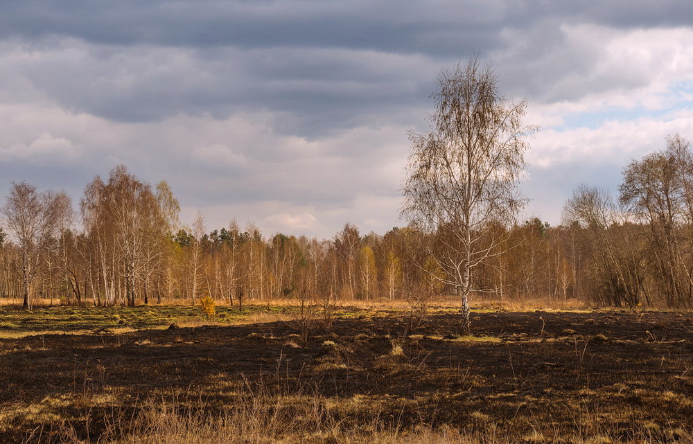 Фотографія Дыханье неотступного огня ещё витает в воздухе доселе / Галанзовская Оксана / photographers.ua