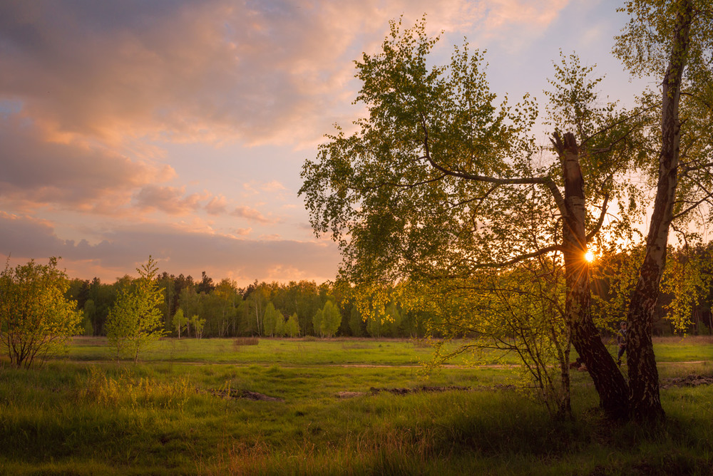 Фотографія Греет луг напоследок к закату идущее солнце / Галанзовская Оксана / photographers.ua