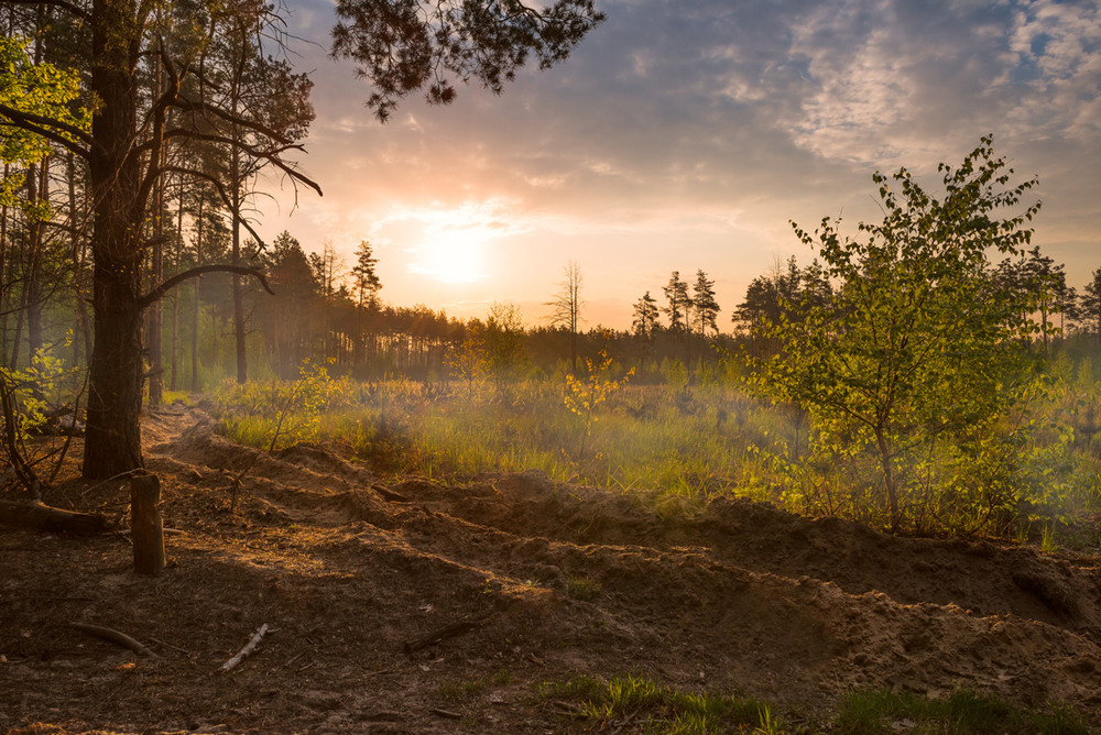 Фотографія Яркий утренний свет, наступает рассвет / Галанзовская Оксана / photographers.ua