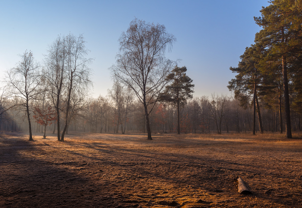 Фотографія На небе солнце, изморозь на травах / Галанзовская Оксана / photographers.ua