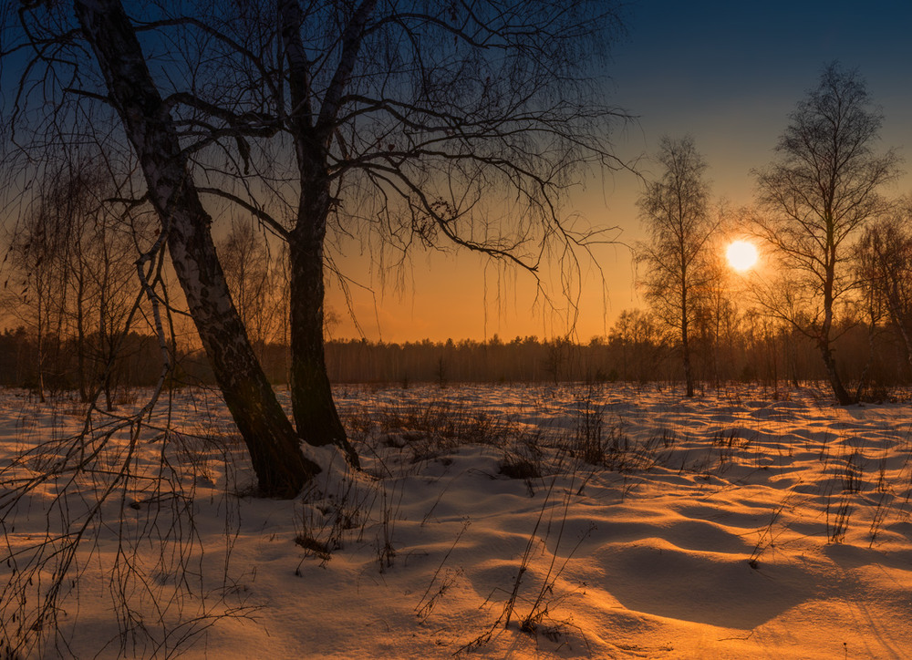 Фотографія Багряный узор на снежных полях / Галанзовская Оксана / photographers.ua