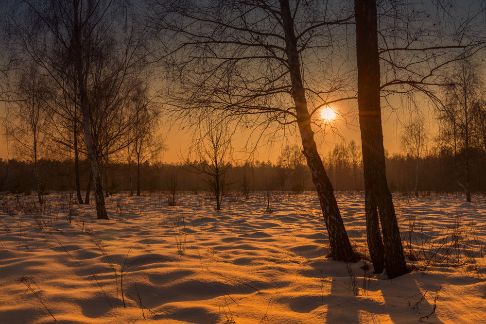 Фотографія Зимовий вечір / Галанзовская Оксана / photographers.ua