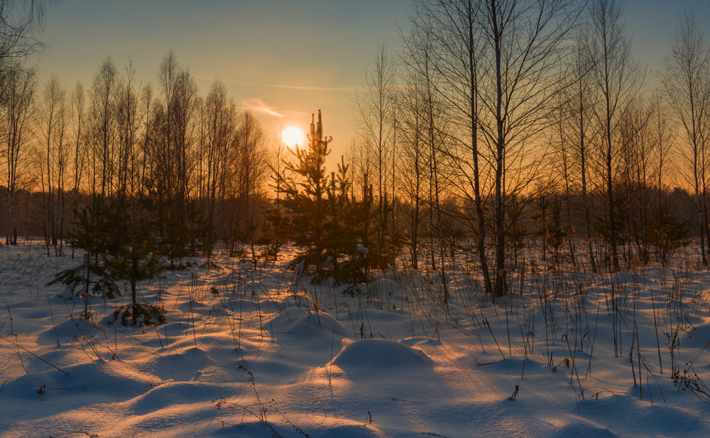Фотографія Морозные закаты января / Галанзовская Оксана / photographers.ua