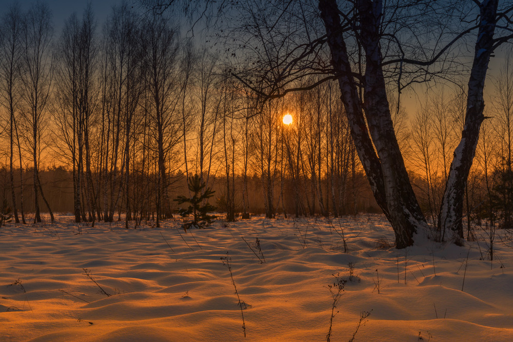 Фотографія И догорал закат в январской тишине / Галанзовская Оксана / photographers.ua