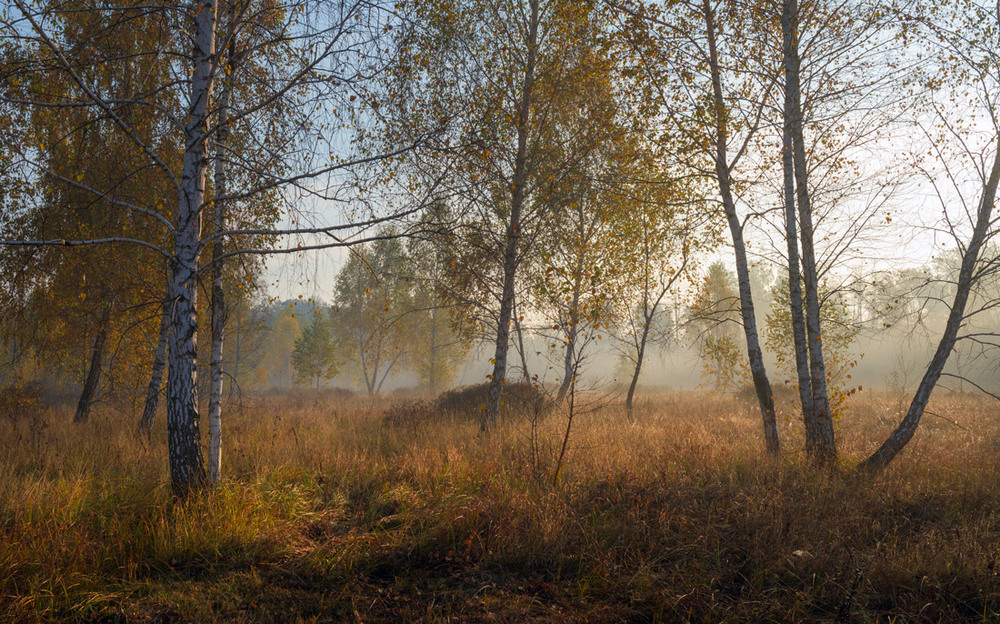 Фотографія Луг проснулся, туманом окутанный / Галанзовская Оксана / photographers.ua