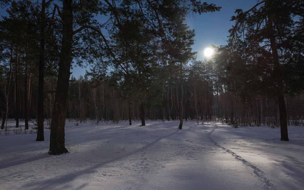 Фотографія Снег серебрился в сумерках вечерних / Галанзовская Оксана / photographers.ua