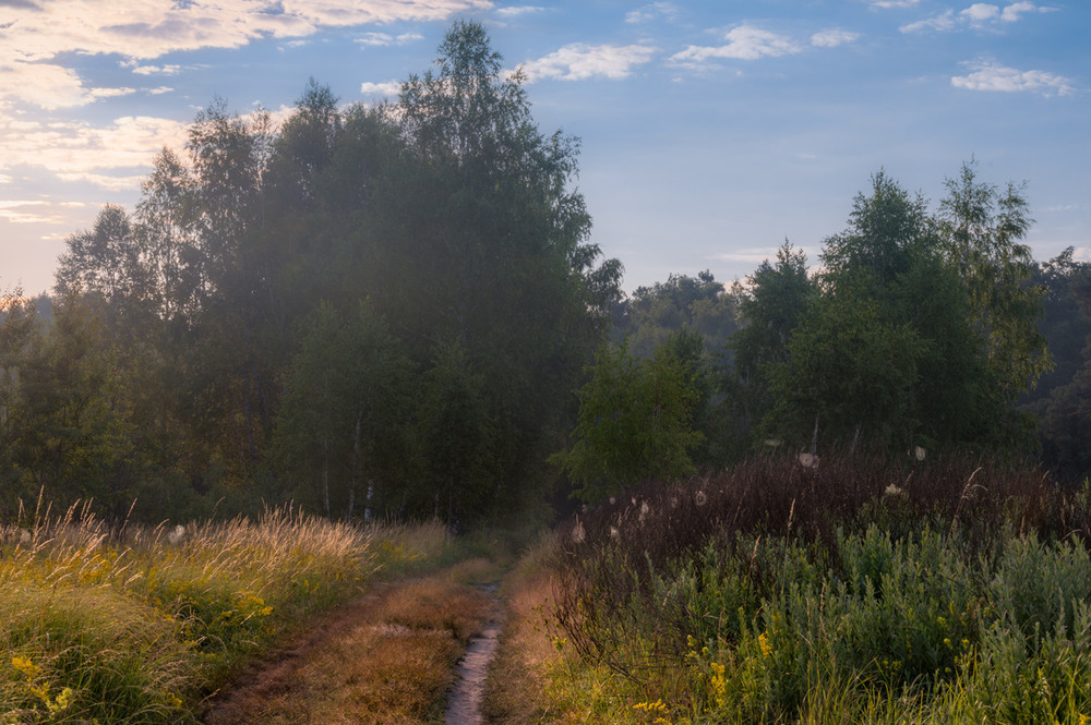 Фотографія Тихой летнею тропою я уйду в луга густые / Галанзовская Оксана / photographers.ua