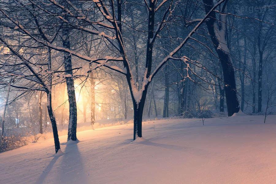 Фотографія Зимний вечер в парке / SergeyIT / photographers.ua